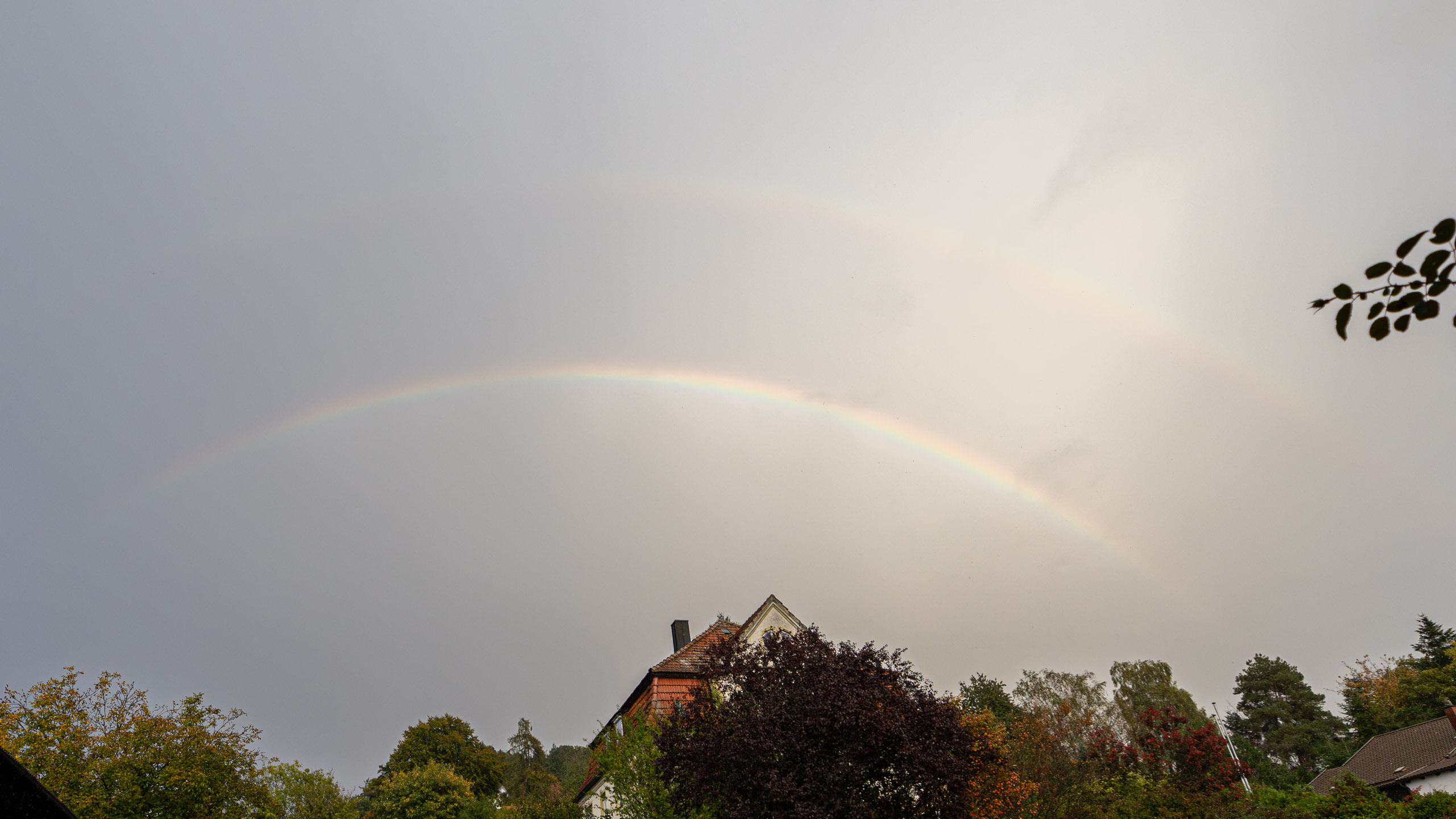 20231014175034 R5D 4271 e